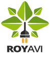 Royavi